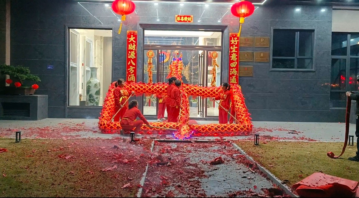 蛇舞新春,龙腾瑞气
